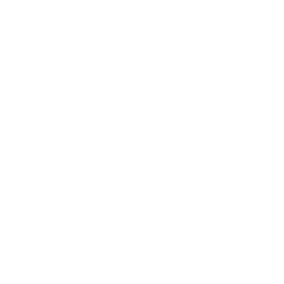 VB Private Consulting - Logo